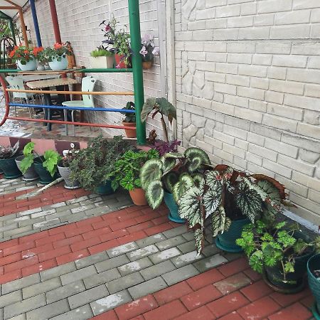 Hotel Nino Kobuleti Exteriér fotografie