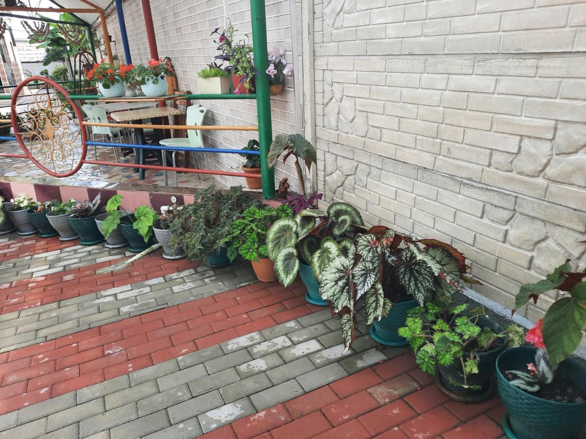 Hotel Nino Kobuleti Exteriér fotografie